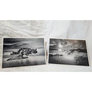 Vintage Clyde Butcher Postcards Lot of 2 Black & White Florida Photography
